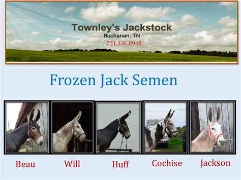 Frozen semen available for shipping Australia. . Mammoth jack sperm for sale